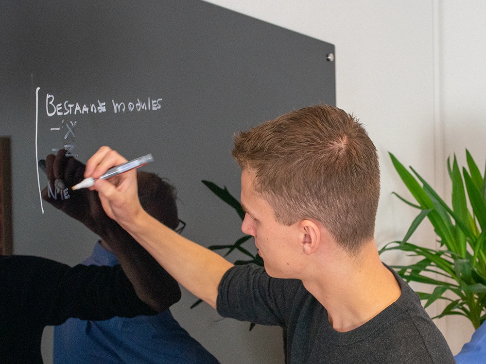 Junior Web Developer